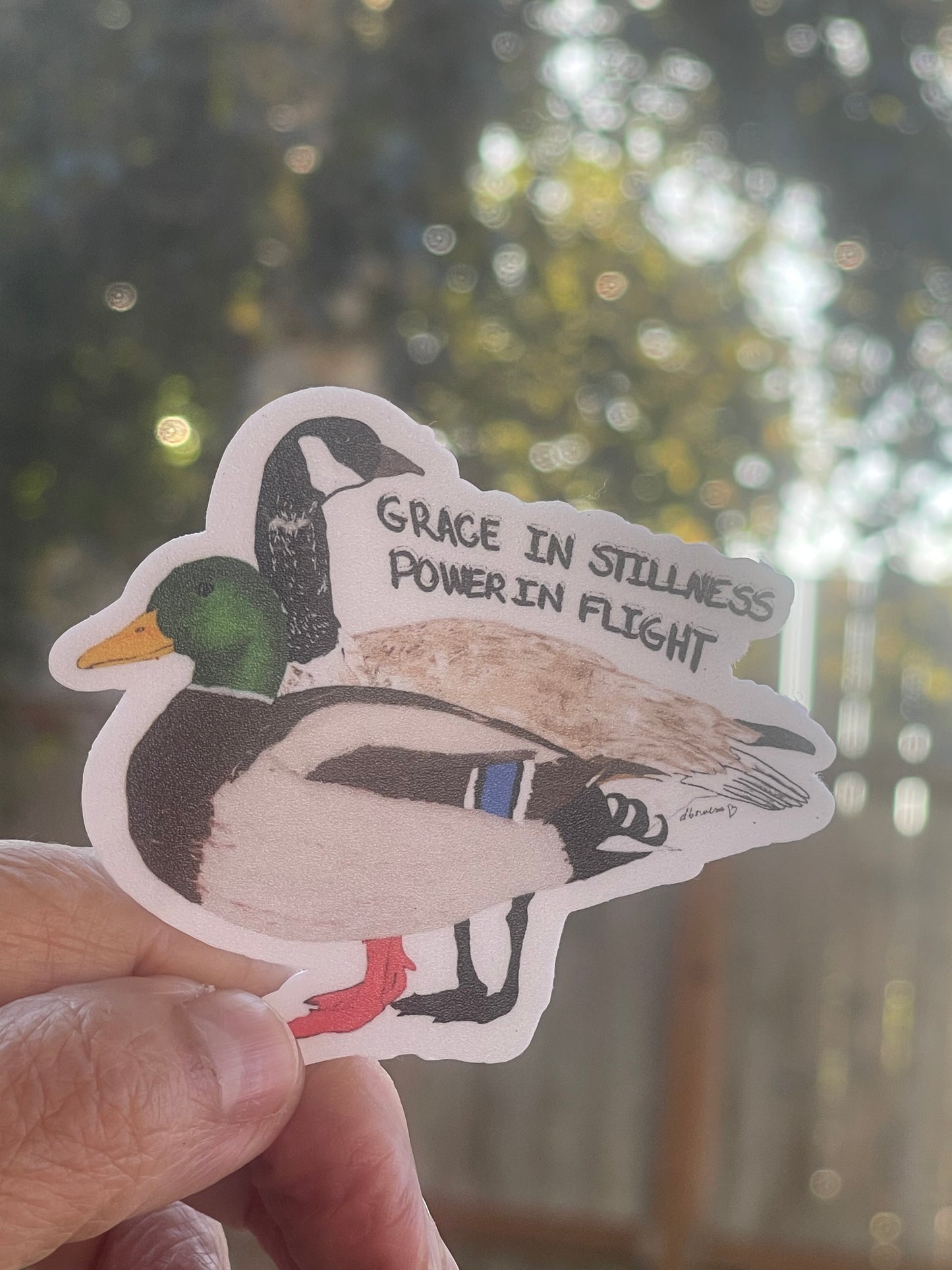 Grace in Stillness Green Headed Mallard and Canadian Geese Sticker - Grace in Stillness Sticker – Green-Headed Mallard & Canadian Geese