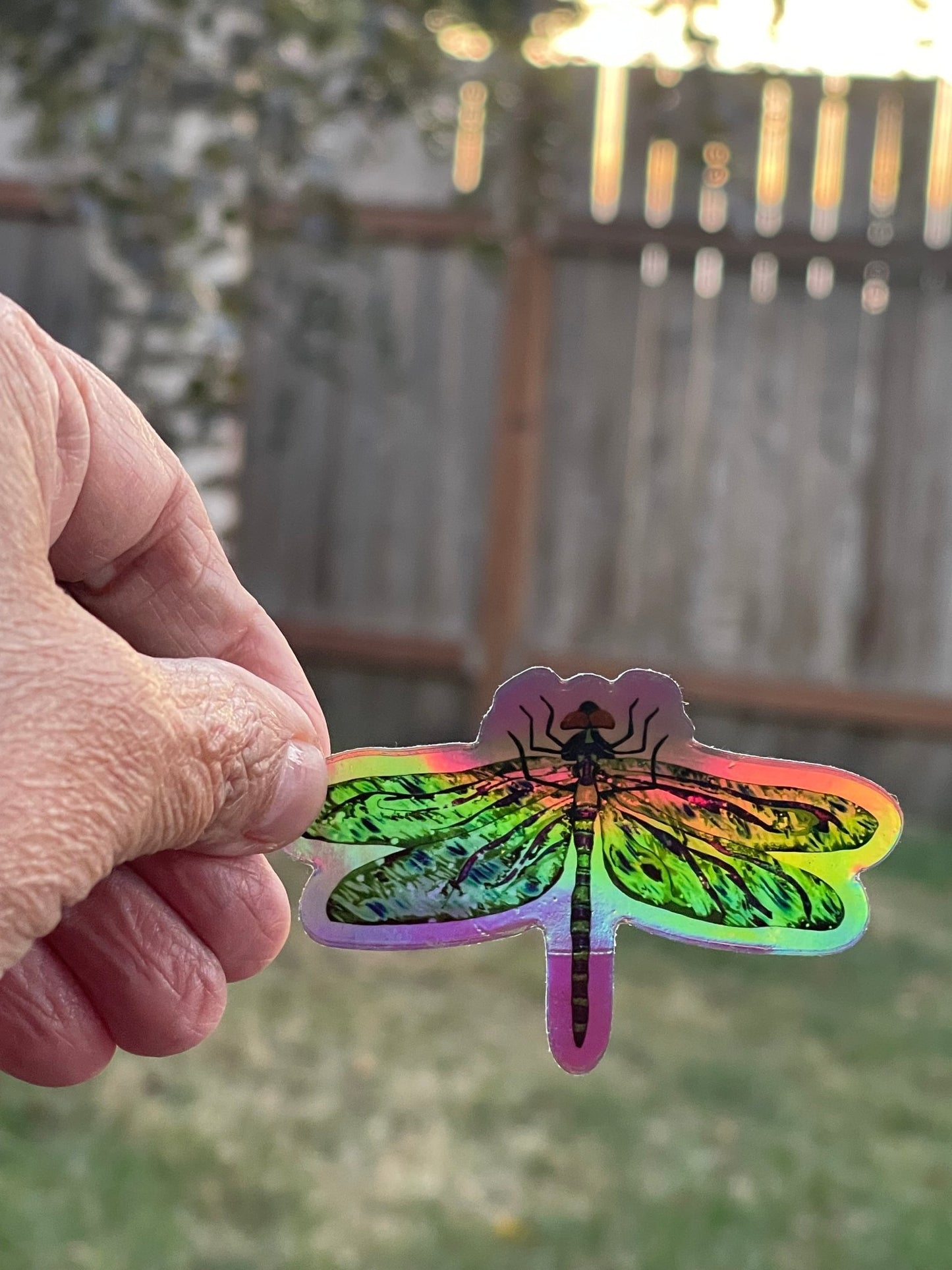 Holographic Green Dragonfly Vinyl Sticker - Iridescent Nature Decal with Rainbow Shimmer Effect - Color Crumbs Club