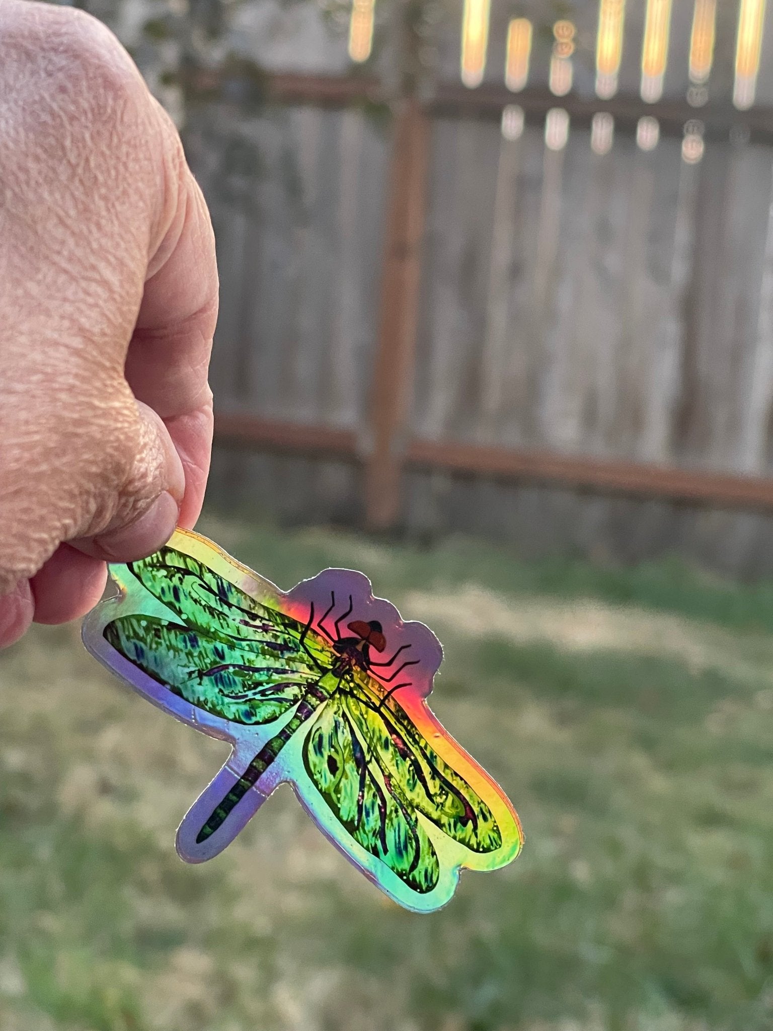 Holographic Green Dragonfly Vinyl Sticker - Iridescent Nature Decal with Rainbow Shimmer Effect - Color Crumbs Club