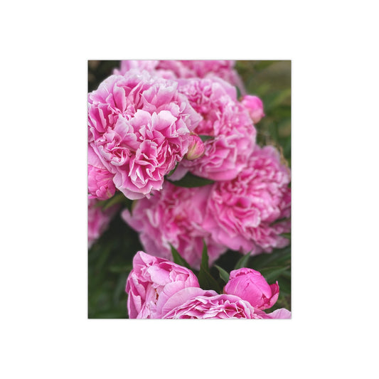 Peonies Satin Posters (300gsm) - Squirrellyartmama