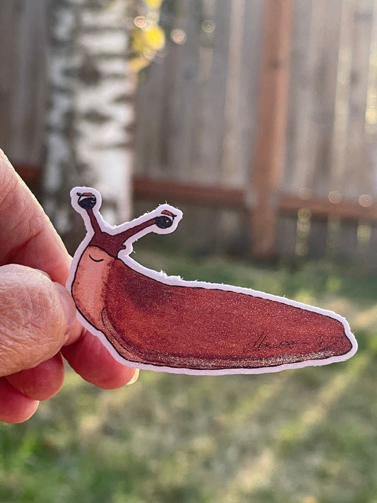 Slug Sticker– Whimsical Nature Vinyl Decal Die Cut Sticker - Color Crumbs Club