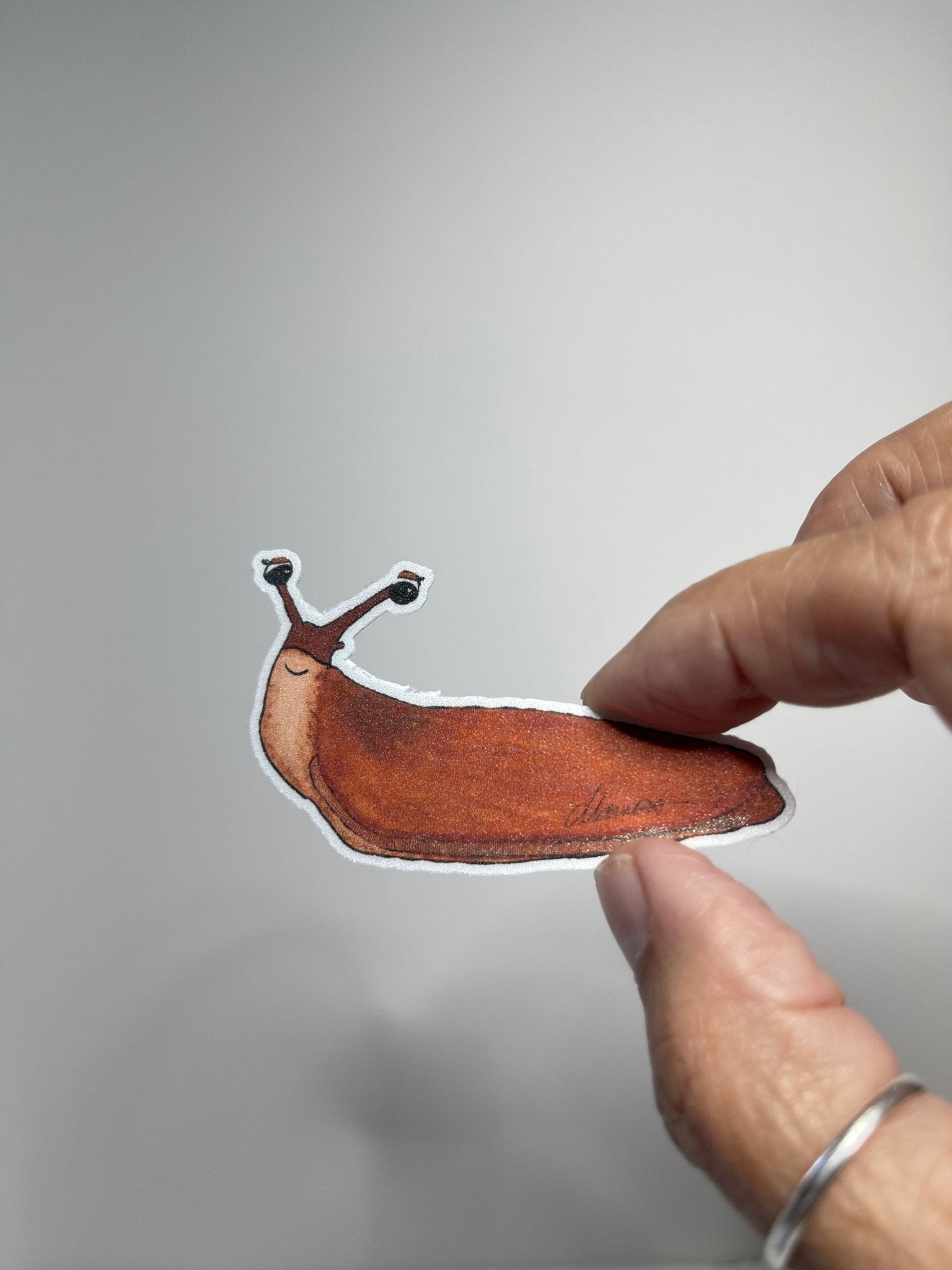 Slug Sticker– Whimsical Nature Vinyl Decal Die Cut Sticker - Color Crumbs Club